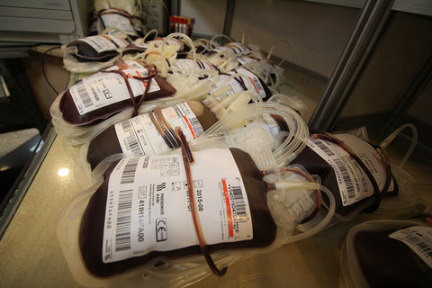 رشد ۷ درصدی اهدای خون در سال ۱۴۰۲/ میزان اهدای خون بانوان ۳.۳ درصد بوده است