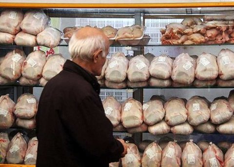 قیمت مرغ در اصفهان پَر کشید/ضرر مرغداران با وجود بازار گران