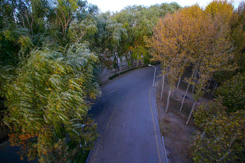 پاییز هزار رنگ- پارک جنگلی ناژوان