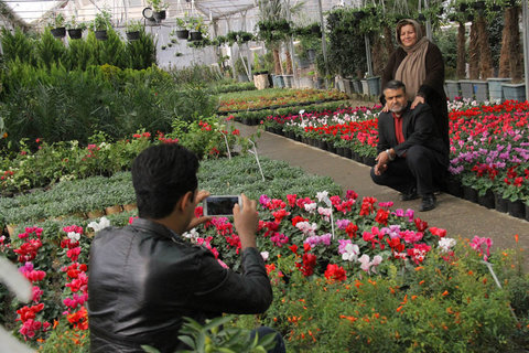 اسامی نفرات برتر جشنواره عکس گل و گیاه اعلام شد