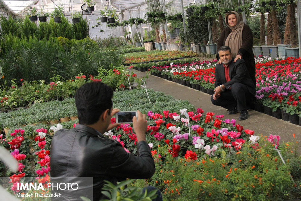 اسامی نفرات برتر جشنواره عکس گل و گیاه اعلام شد