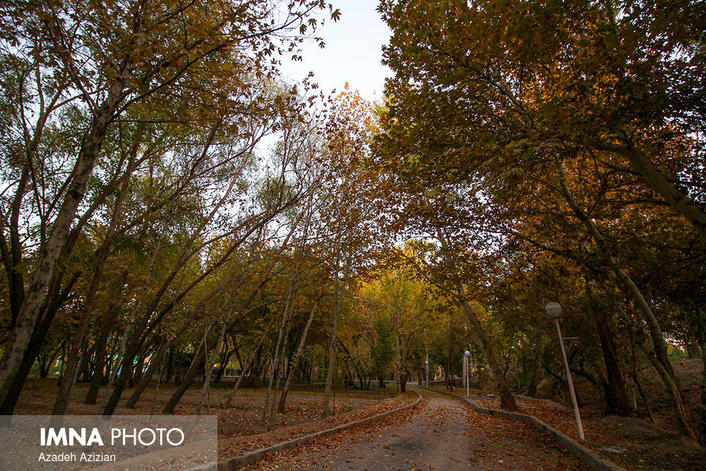 A Thousand Colored Autumn in Najvan Forest Park, 2017