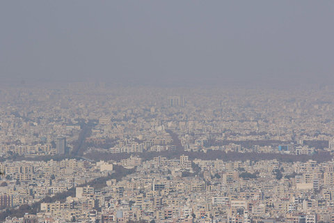 شهر پنجه در پنجه آلودگی