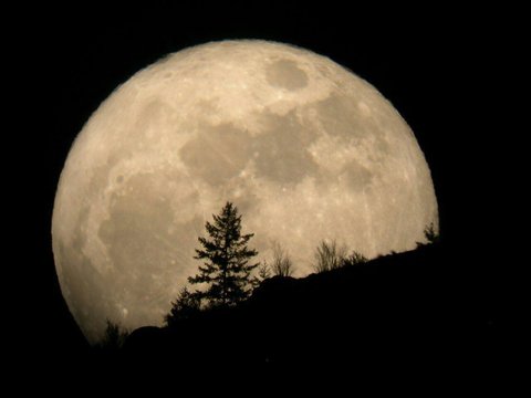 امشب شاهد ماه در وضعیت "حضیض زمینی" و سیارک "Pallas 2" باشید