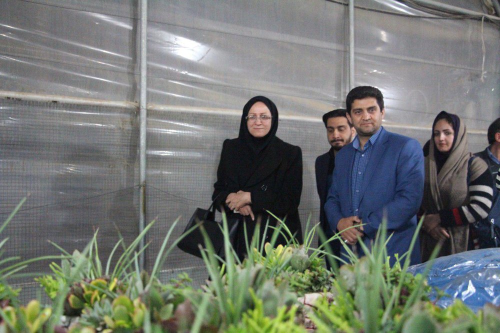 بازار گل و گیاه اصفهان، راهکارهای نگهداری از گل ها را آموزش می دهد