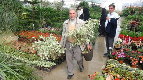بازار گل و گیاه شهرداری اصفهان نیاز بازار گل جنوب کشور را تامین می کند