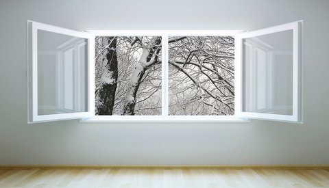 پنجره زمستانی باز شد