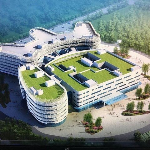 Inauguration of a hospital in China named after Professor Samii