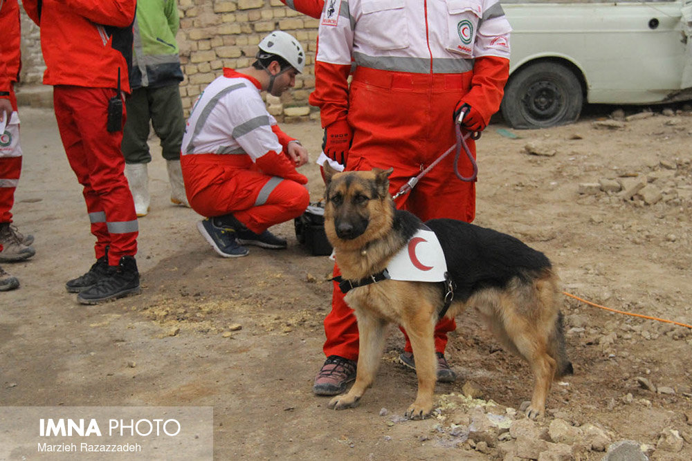 اعزام ۵ تیم عملیاتی برای ارزیابی خسارات زلزله مسجد سلیمان