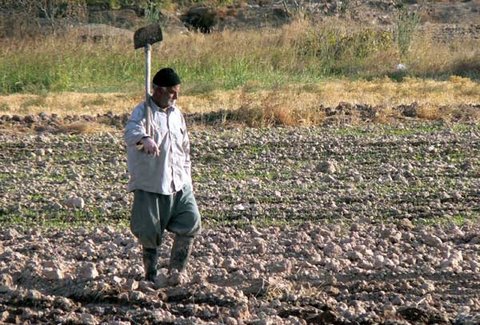خشکی ۹۹ درصد اراضی کشاورزی شرق اصفهان 