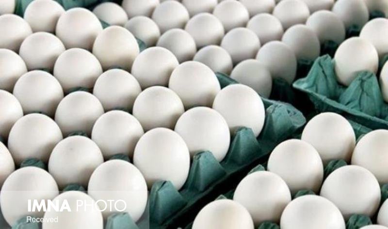 قیمت هر کیلوگرم تخم مرغ درب مرغداری ۹۵۰۰ تومان