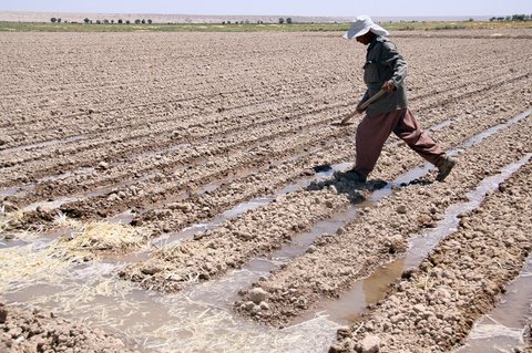 آب کافی برای همه اراضی کشاورزی اصفهان نداریم