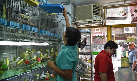 احداث مجتمع صنفی پرندگان بومی اصفهان به زودی تکمیل می‌شود