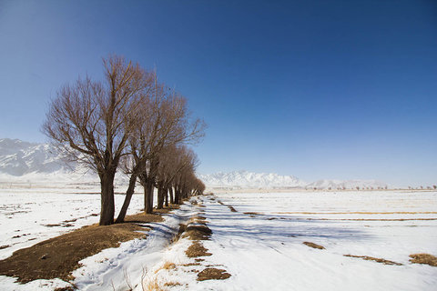 طبیعت زمستانی روستای روستای خویگان علیا و ازنه
