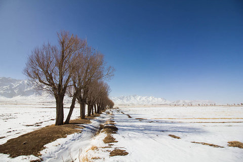 اندیشۀ نیک بر بلندای ماه بهمن