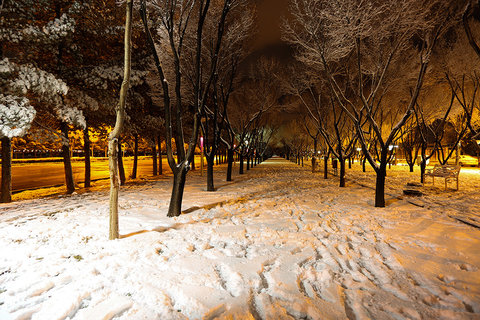 اولین بارش برف زمستانی در تهران + فیلم