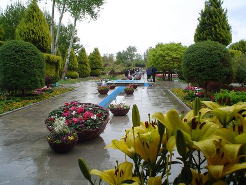 برگزاری «جشنواره لاله ها»  در باغ گلها