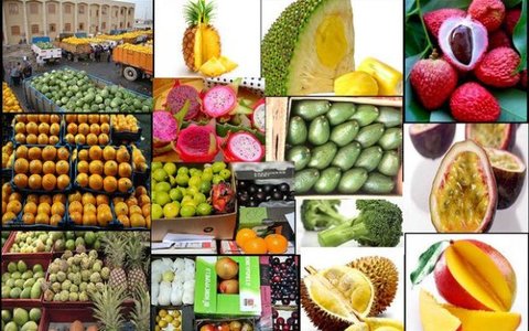 تورم کالاهای زراعی و دامی اعلام شد/افزایش۴درصدی تورم انواع میوه‌