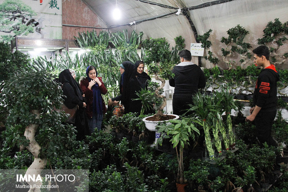 باغ تندرستی اصفهان، سبز می شود