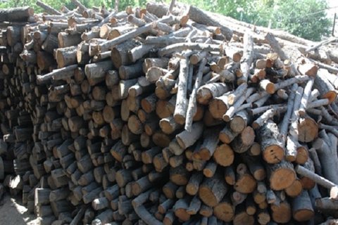 قاچاقچی چوب در بادرود دستگیر شد