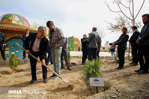 غرص نهال به یاد شهدای سانحه سانچی 