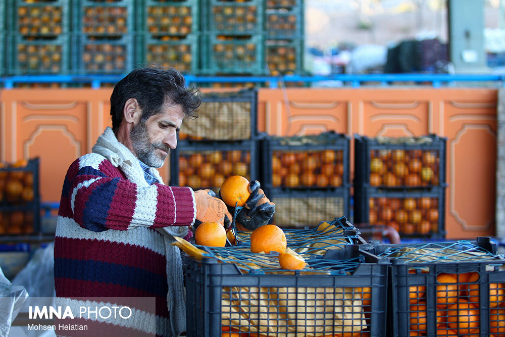 قیمت میوه و تره‌بار در بازار امروز ۱۵ آبان‌ماه+ جدول
