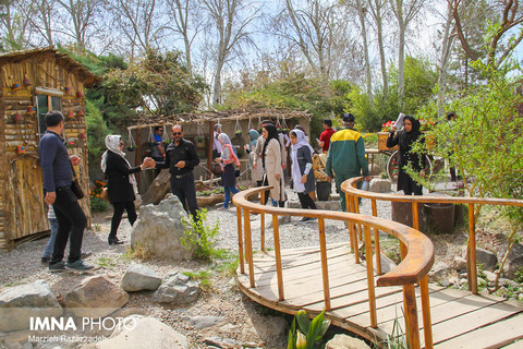 باغ گل های اصفهان میزبان گل های ایرانی