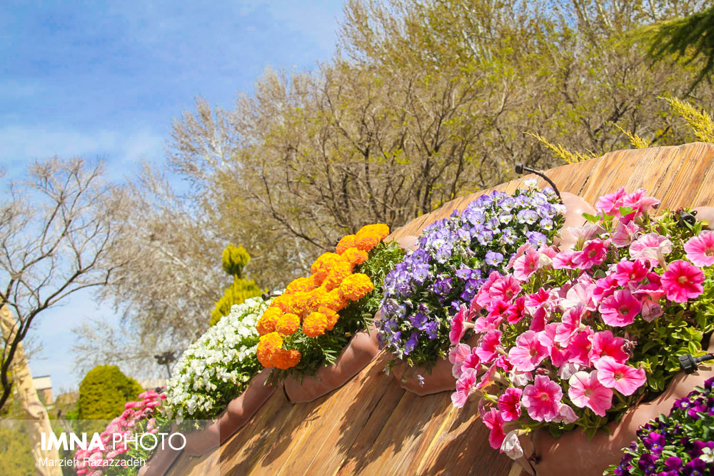 آغاز نخستین جشنواره گل‌های پاییزه در قزوین