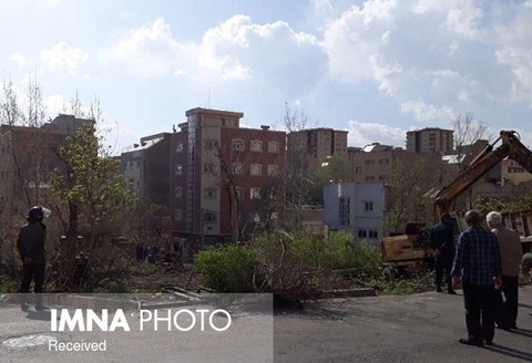 برخورد قاطع با متخلفان قطع درختان شهر در کرمانشاه