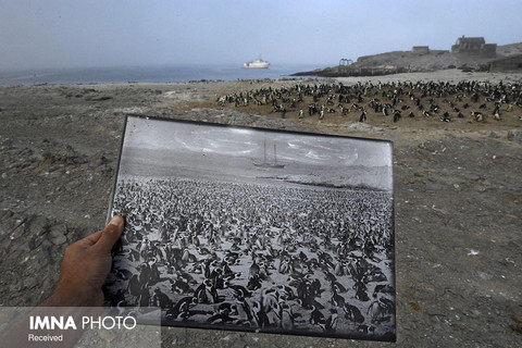 بخش محیط زیست(تک عکس )
سوم :
توماس پی پشک از آلمان با عکس «بازگشت در زمان»