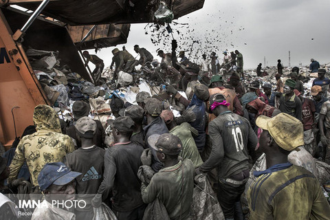 بخش محیط زیست(مجموعه عکس:
 جایزه اول به کدیر وان لوژین از هلند با مجموعه عکس «زباله‌دان» 