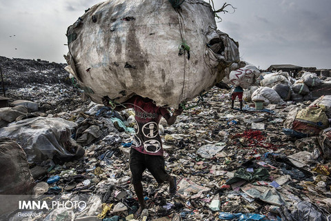 بخش محیط زیست(مجموعه عکس:
 جایزه اول به کدیر وان لوژین از هلند با مجموعه عکس «زباله‌دان» 