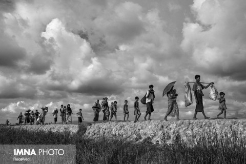 بخش اخبار عمومی(مجموعه عکس)
دوم: "کوین فرایر" از کانادا با مجموعه «پناهجویان روهینگیا»