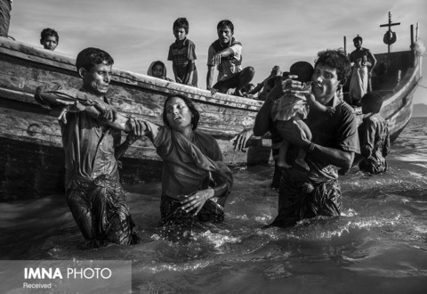 بخش اخبار عمومی(مجموعه عکس)
دوم: "کوین فرایر" از کانادا با مجموعه «پناهجویان روهینگیا»