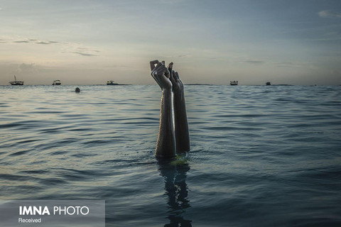 بخش مردم(مجموعه عکس)
دوم:" آنا بویازیس" از آمریکا با مجموعه «جست و جوی آزادی در آب»