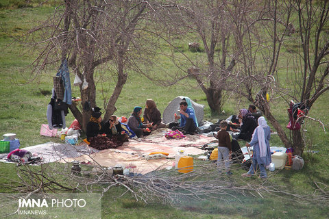 تفریح سالم و انسجام خانواده 