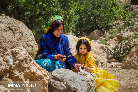  عشایر قشقایی