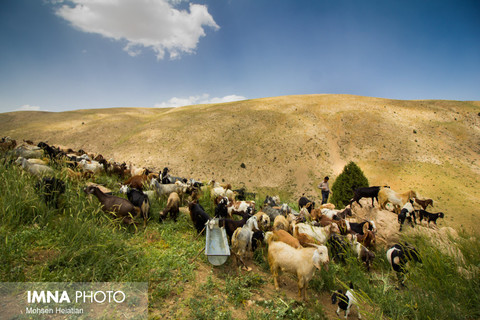  عشایر قشقایی