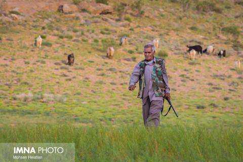  عشایر قشقایی