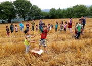 گردشگری کودک در دنیای کودکان