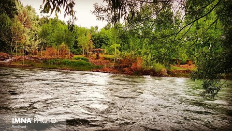روستای برنجگان