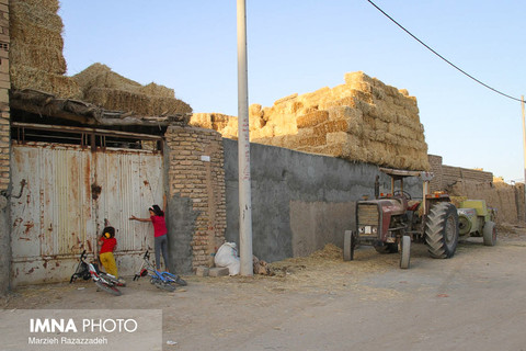 مشکل روستاهای بخش مرکزی شاهین شهر بررسی شد