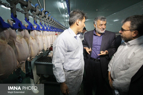 افتتاح اولین زنجیره تولید گوشت مرغ در استان اصفهان با حضور وزیر جهاد کشاورزی