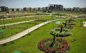 Improving urban health by expanding green spaces 