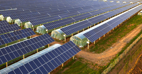 ساختمان‌های عمومی پایتخت استونی خورشیدی می‌شود