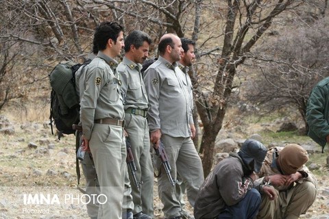 دستگیری سه شکارچی آهو در قمیشلو