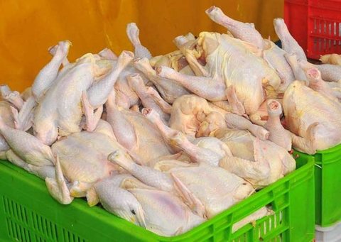۴ تن گوشت مرغ فاسد در آستارا کشف شد