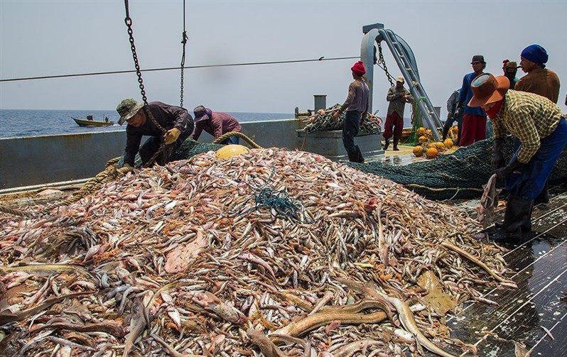 با آغاز فصل تخم‌ریزی صید ماهی در خوزستان ممنوع شد