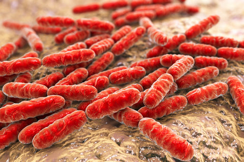 تفاوت عفونت باکتریایی و ویروسی چیست؟