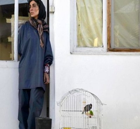 فیلم کوتاه ایرانی در جشنواره فرانسوی خوش درخشید